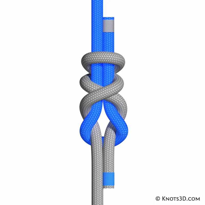 Animation: Dobbelt Simon (under)