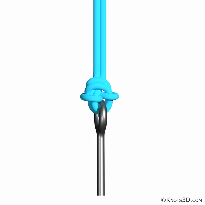 Animation: Palomar-knude