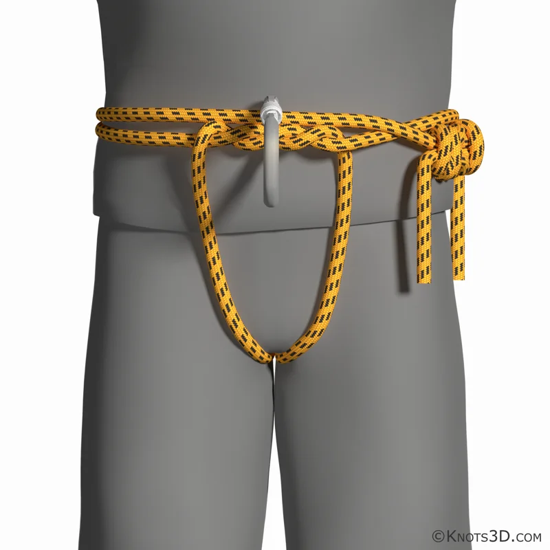 Animation: Schweizisk sele