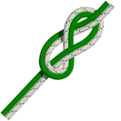 Doppelter Achterknoten