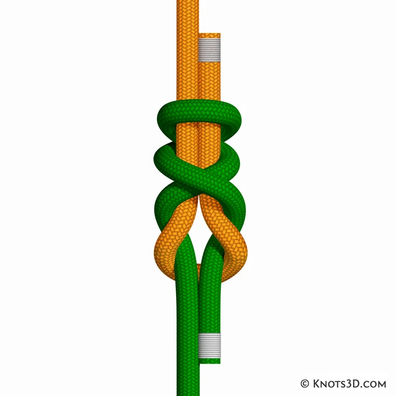 Animation: Double Simon (Over)