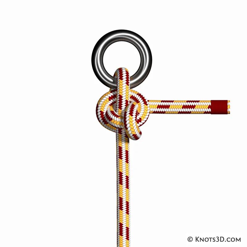 Animation: Gnat Hitch