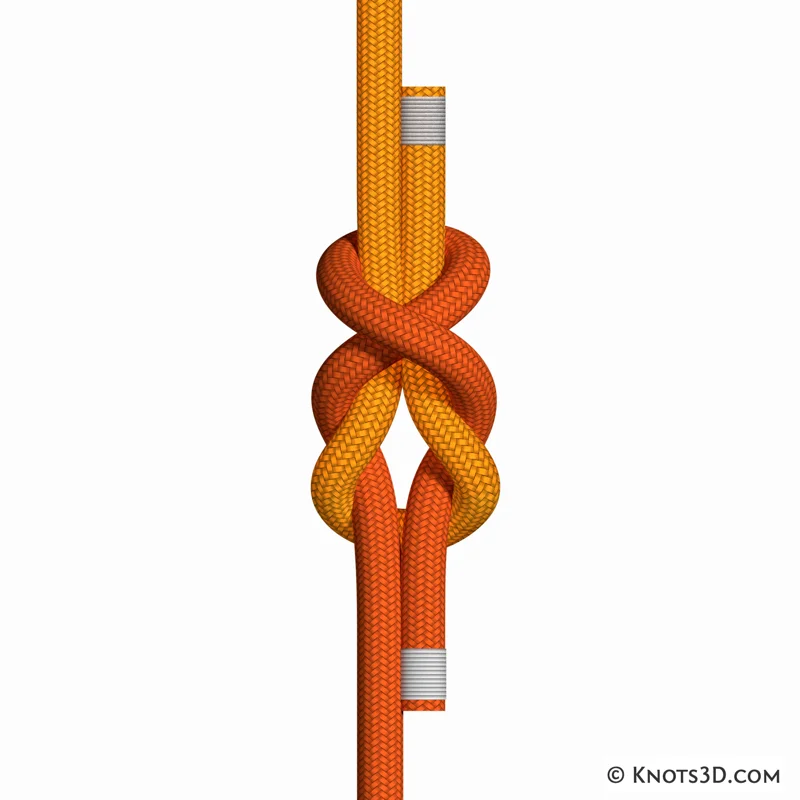 Animation: Simple Simon (Over)