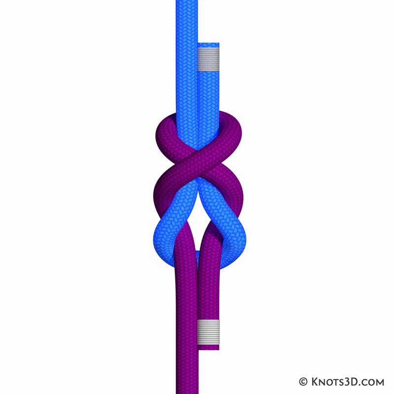 Animation: Simple Simon (Under)