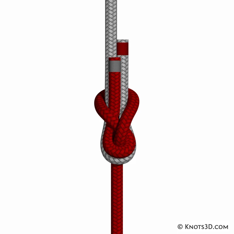 Animation: Tucked Sheet Bend