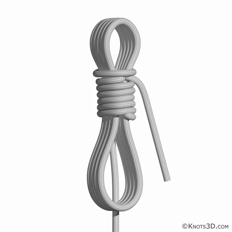 Animación: Adujas de briol