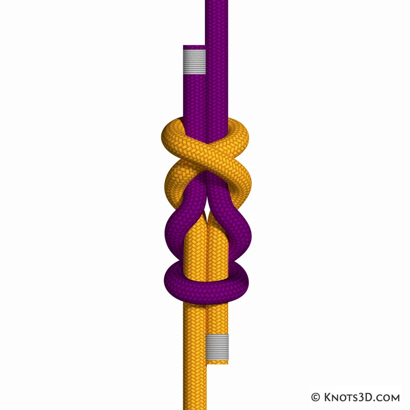 Animación: Nudo de Simón simétrico simple