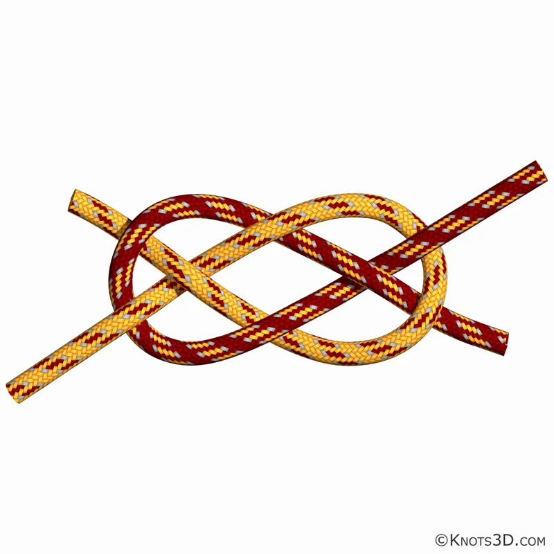 Animaatio: Grönlanninsolmu