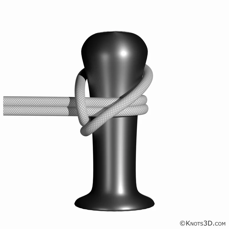 Animaatio: Pollarisolmu