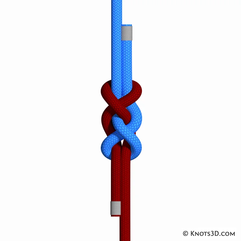 Animaatio: Reever-solmu