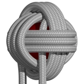 Apinannyrkki