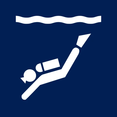 Plongée