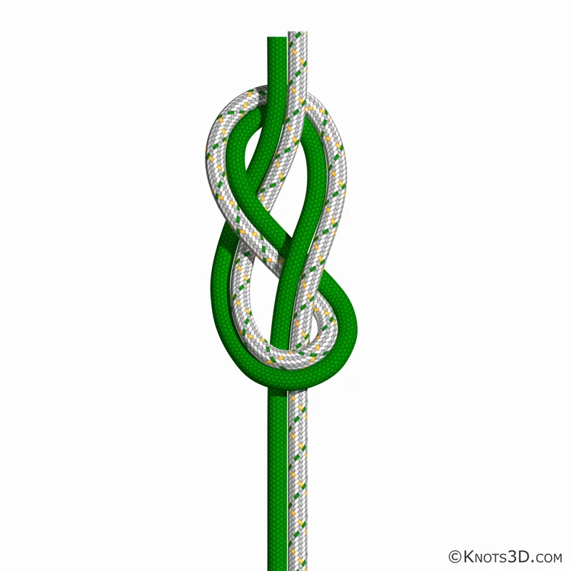 Animation: Huit double