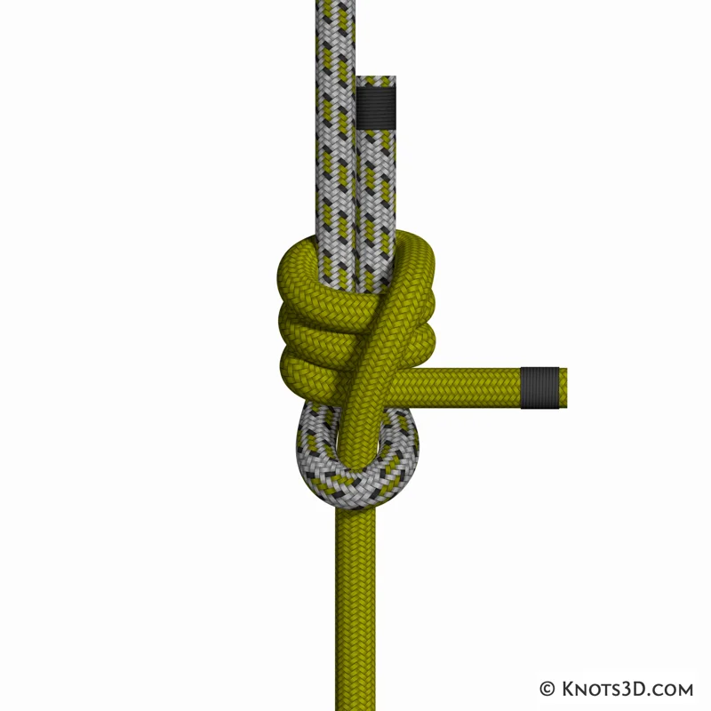 Animation: Nœud d'écoute triple