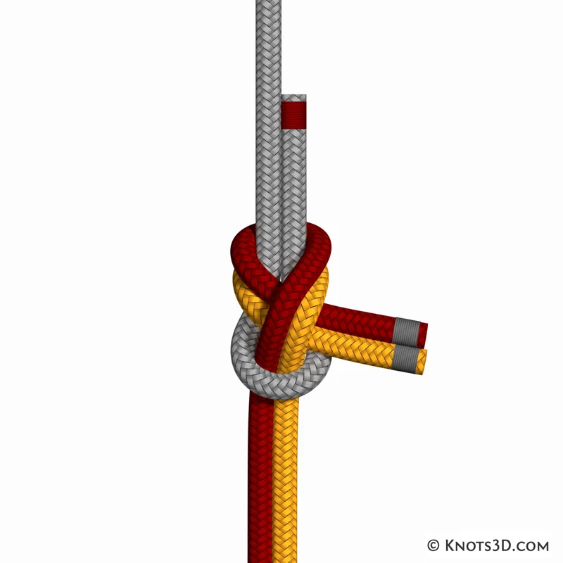 Animation: Nœud d'écoute à 3 cordages