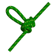 Nœud de papillon alpin