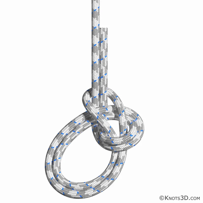 Animazione: Gassa d'amante con cima doppia (ripercorsa)