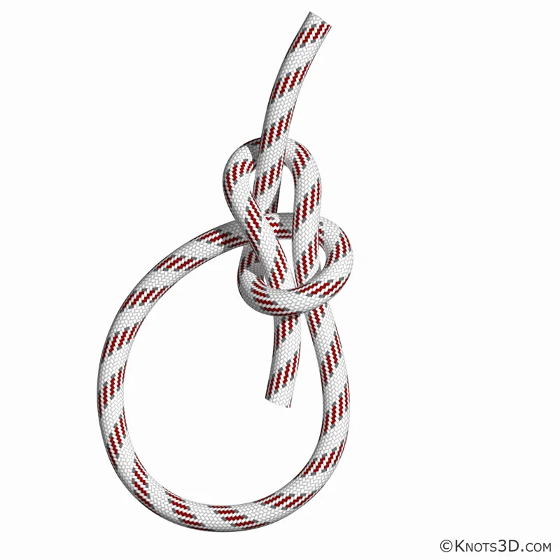 Animazione: Gassa d'amante