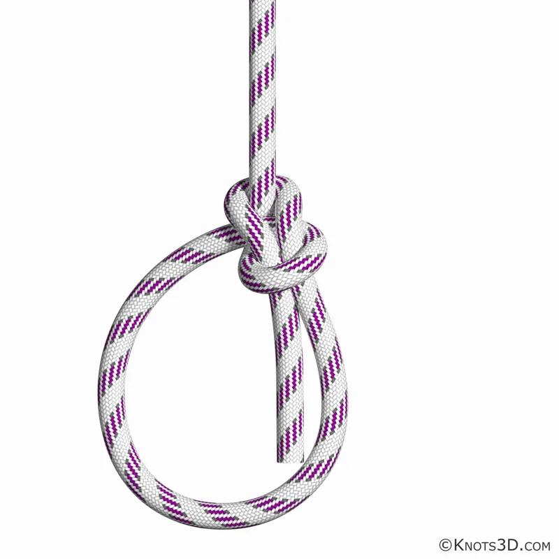 Animazione: Gassa d'amante (rapido)