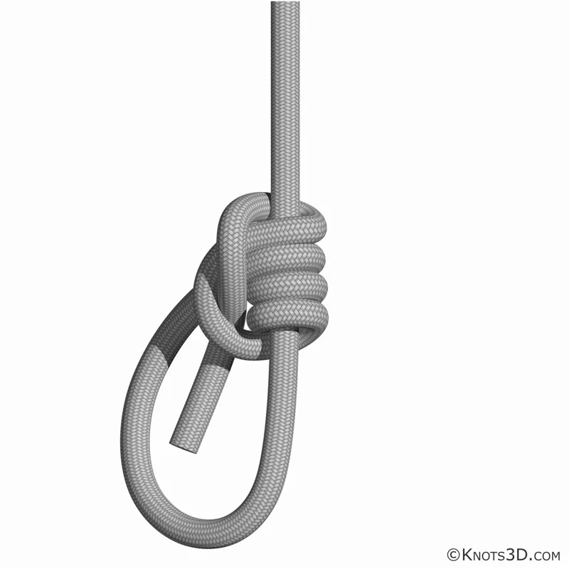 Animazione: Nodo Tarbuck