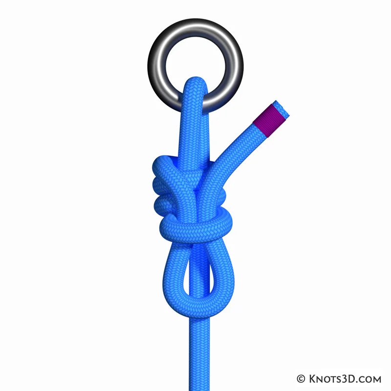 애니메이션: 구유 매듭