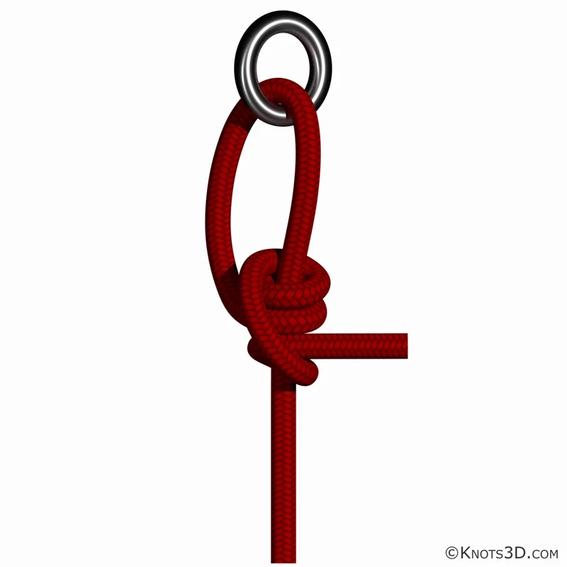 애니메이션: 당김 매듭