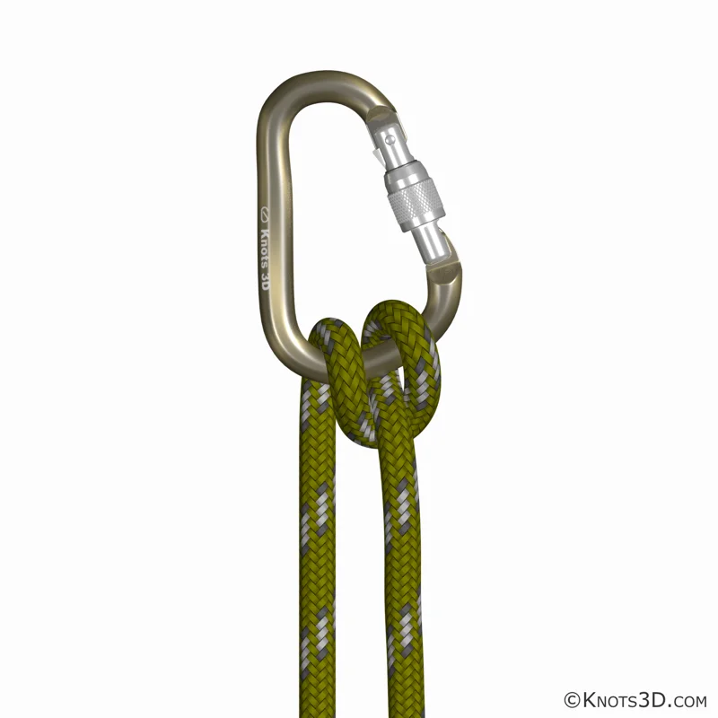 애니메이션: 문터 히치