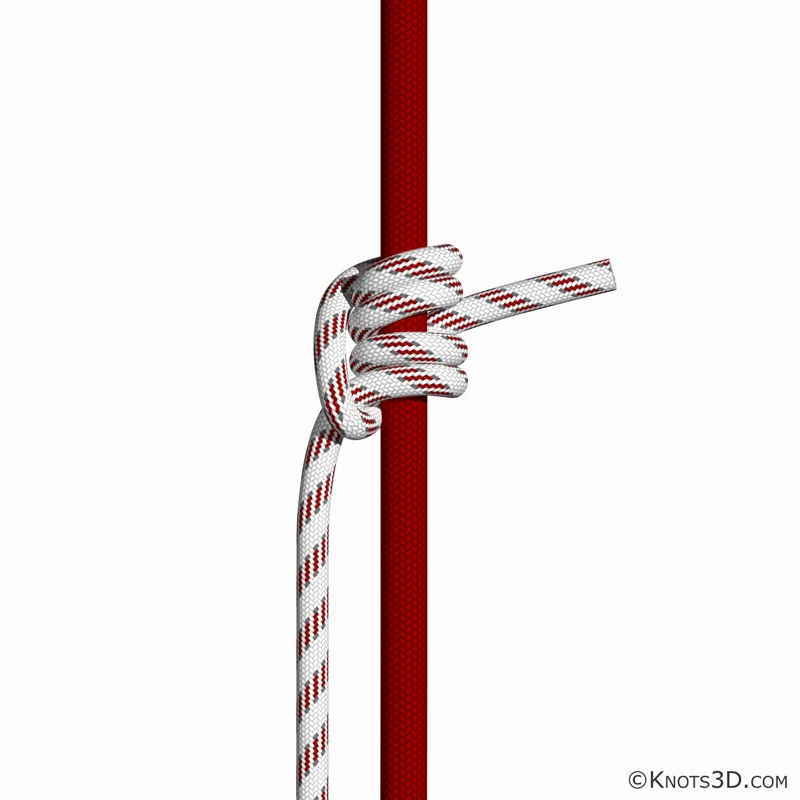 애니메이션: 블레이크 히치