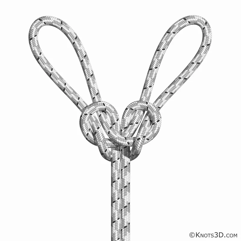 애니메이션: 스페인 보우라인 매듭