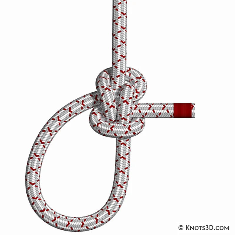 애니메이션: 제플린 루프