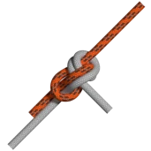 이중 드래건 벤드