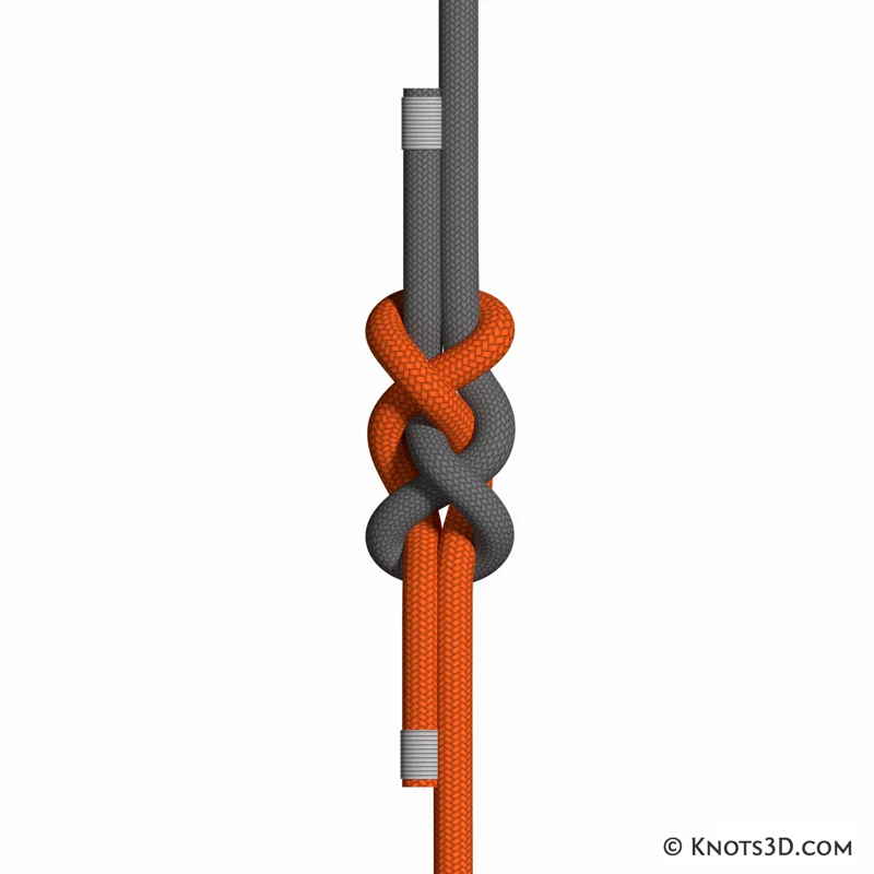 Animatie: Vice Versa