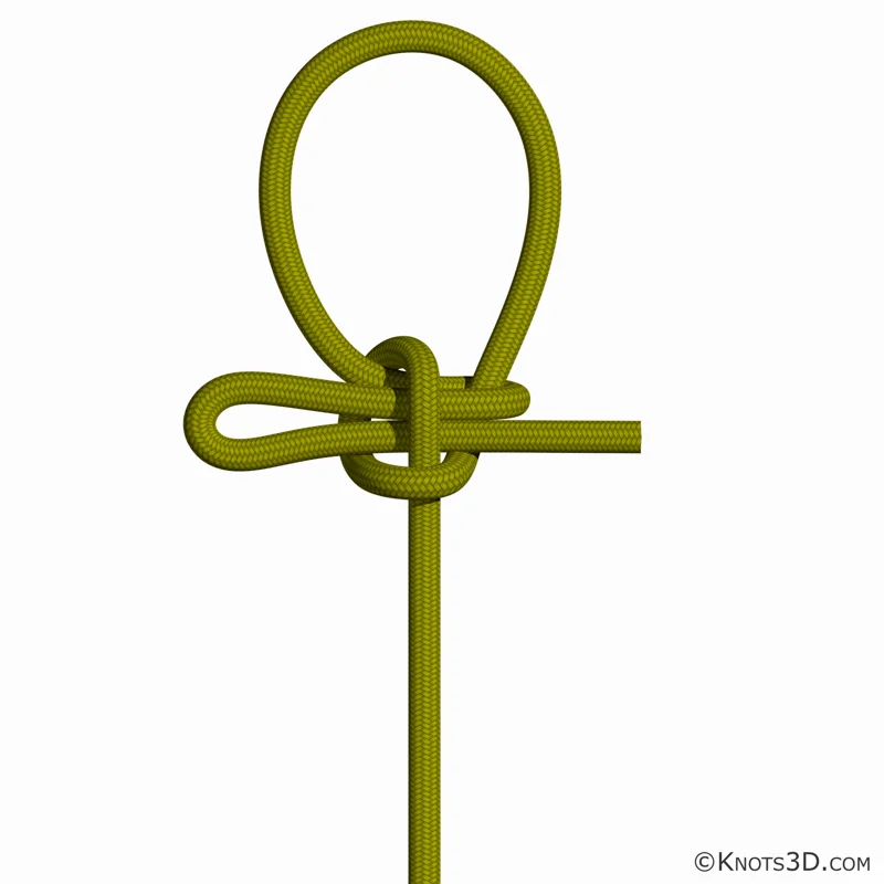 Animasjon: Kalmyk-knute