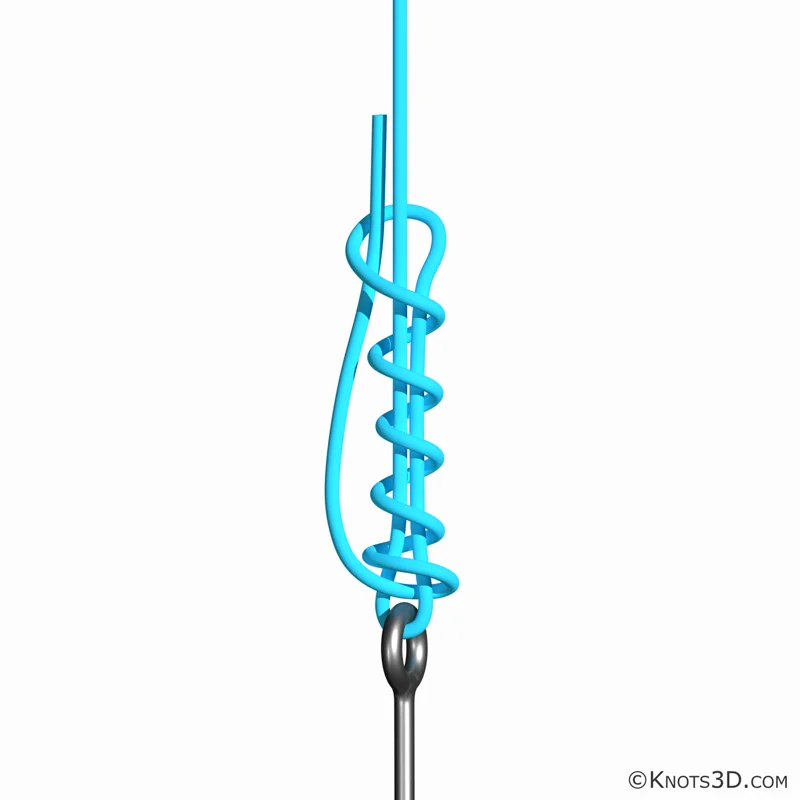 Animasjon: San Diego-jamknute