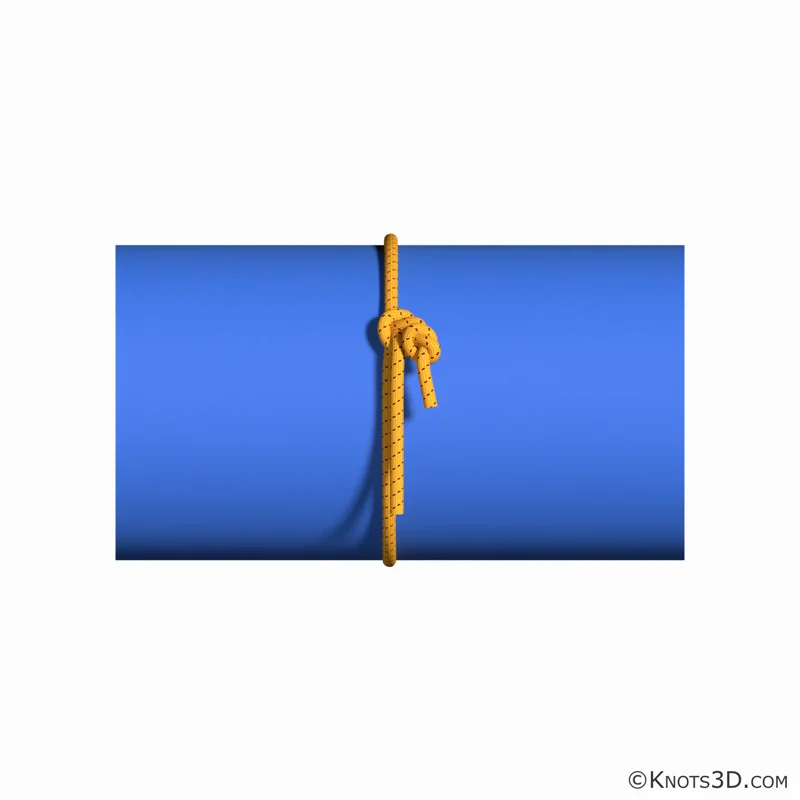 Animacja: Kanadyjski węzeł zaciskowy