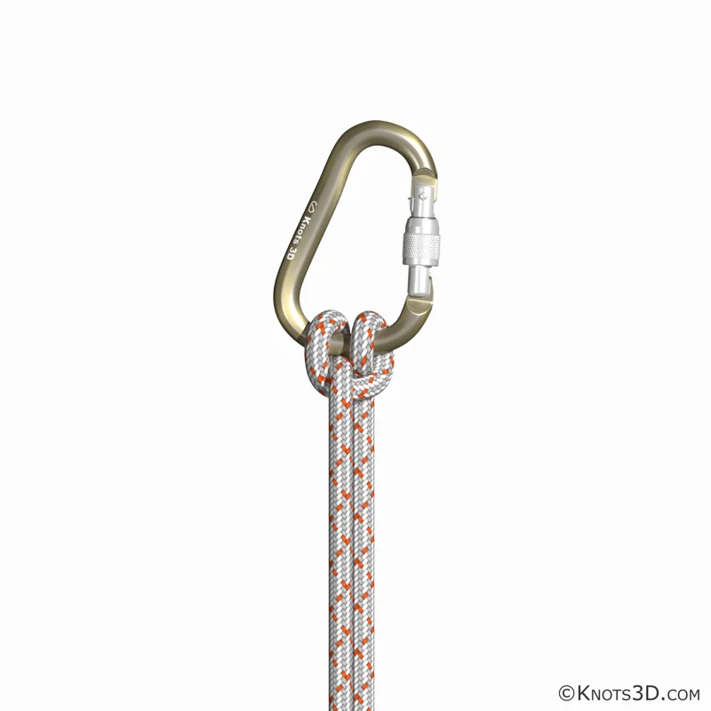 Animacja: Wyblinka (dwie pętle)