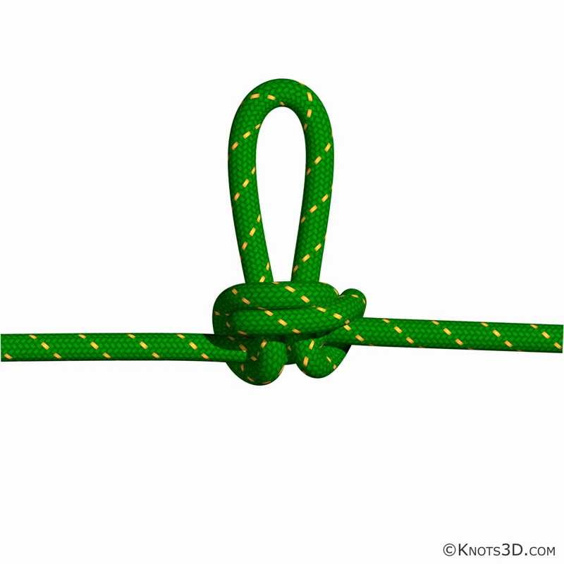 Animação: Laço borboleta alpino