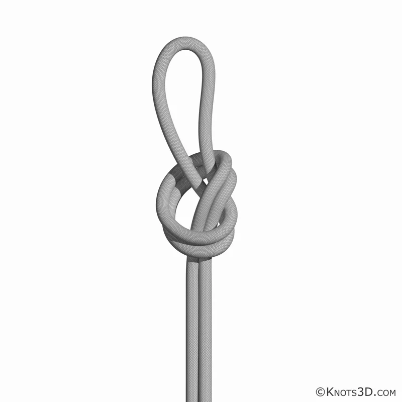 Animação: Nó aselha