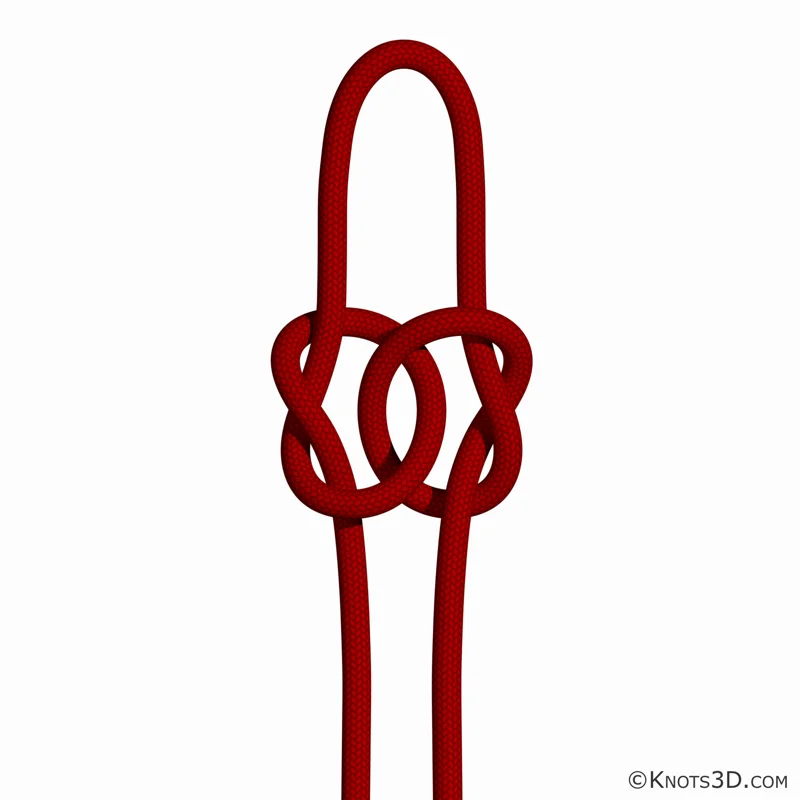 Animação: Nó do amor perfeito