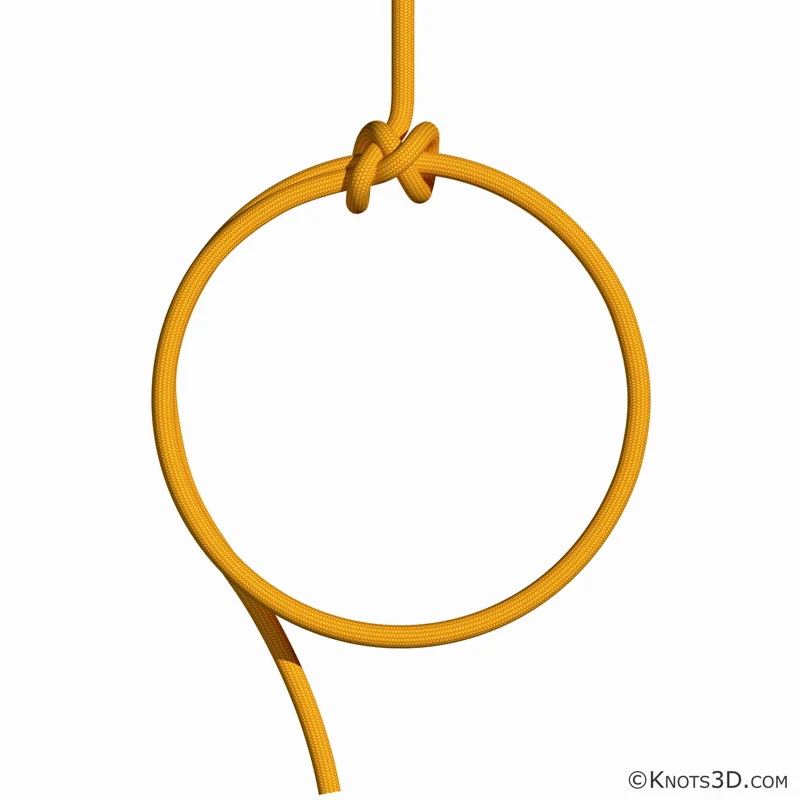 Animação: Pandeiro de marinheiro