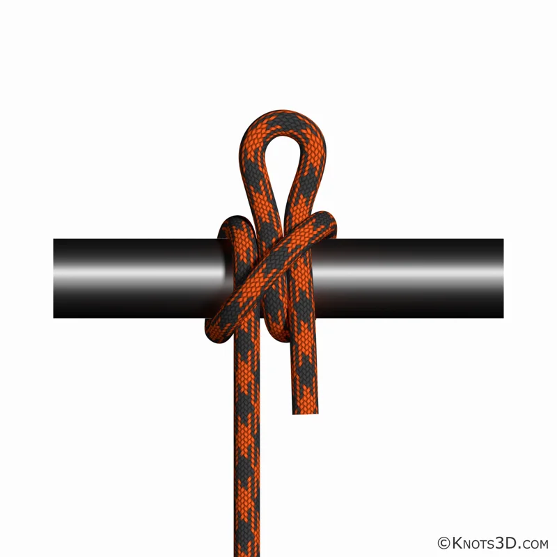 Animação: Volta do fiel laceada