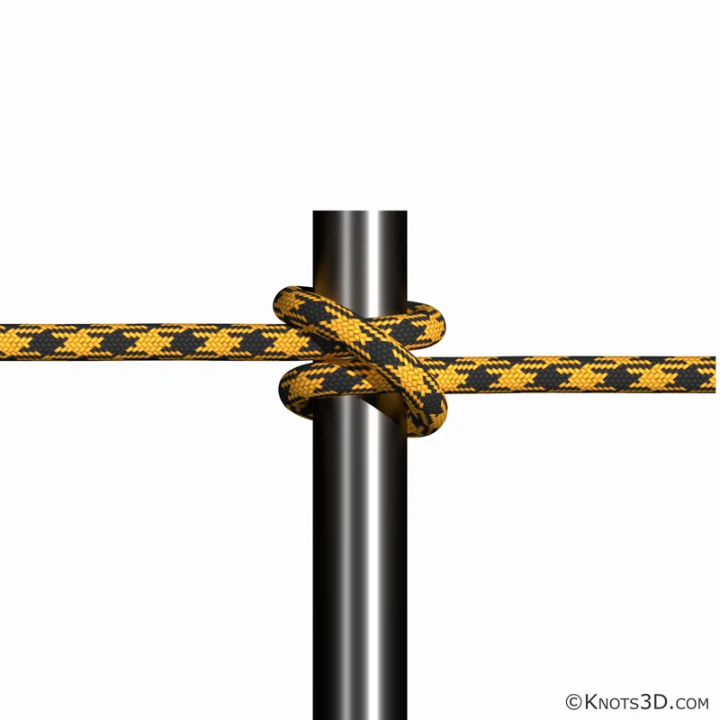 Animação: Volta do fiel (seio)