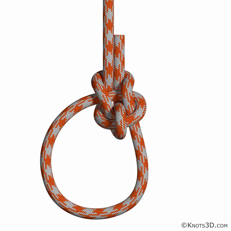 Анимация: Булинь с фиксатором Скотта