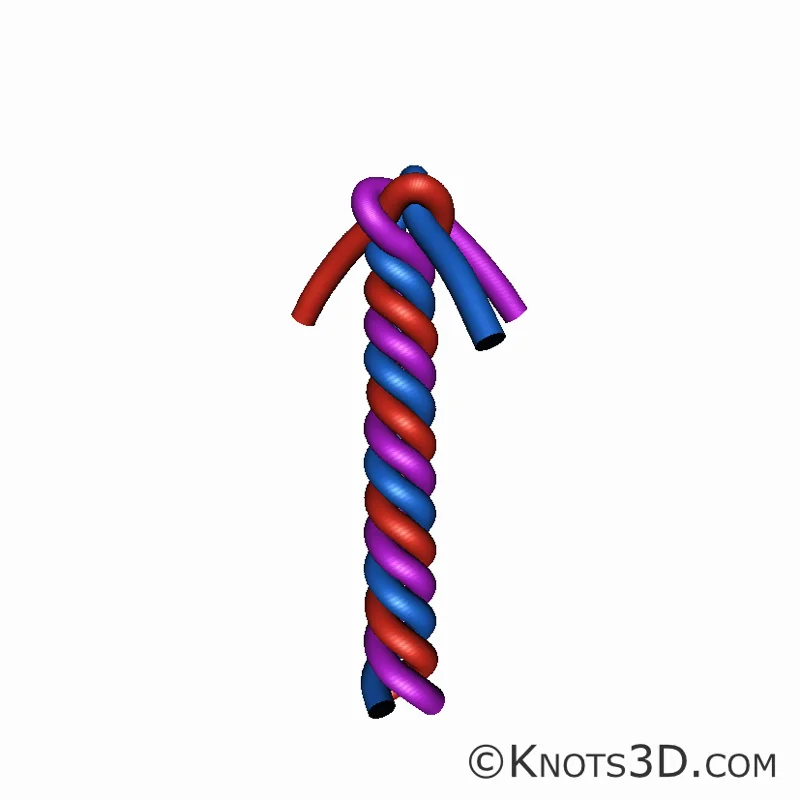 Анимация: Коронный узел