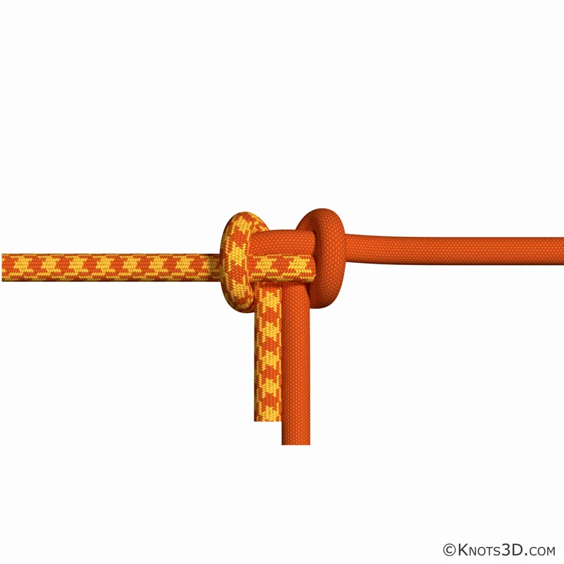 Анимация: Узел альпийский проводник