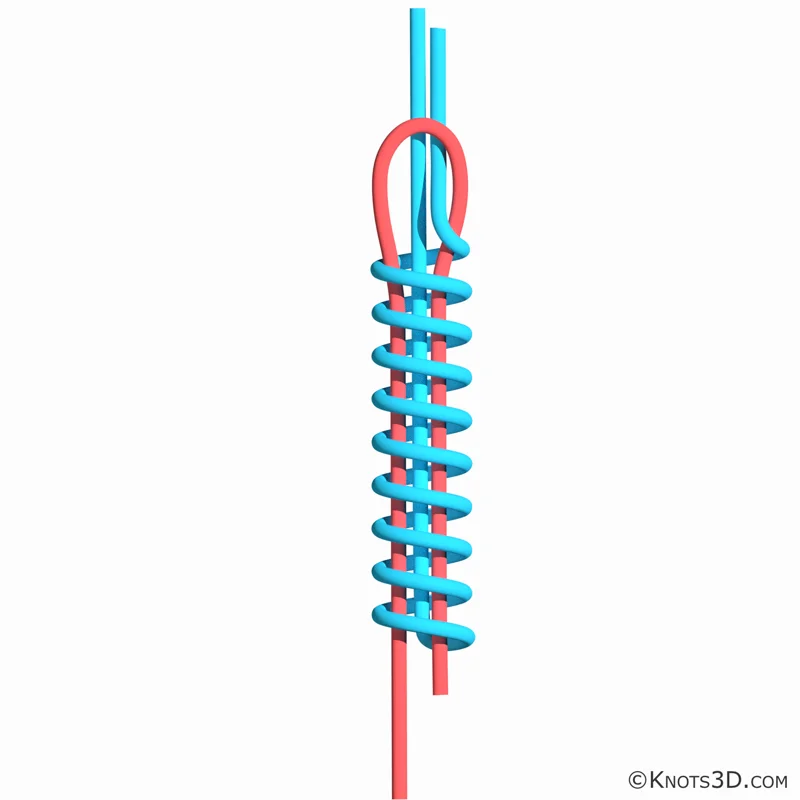 Анимация: Узел Олбрайт особый