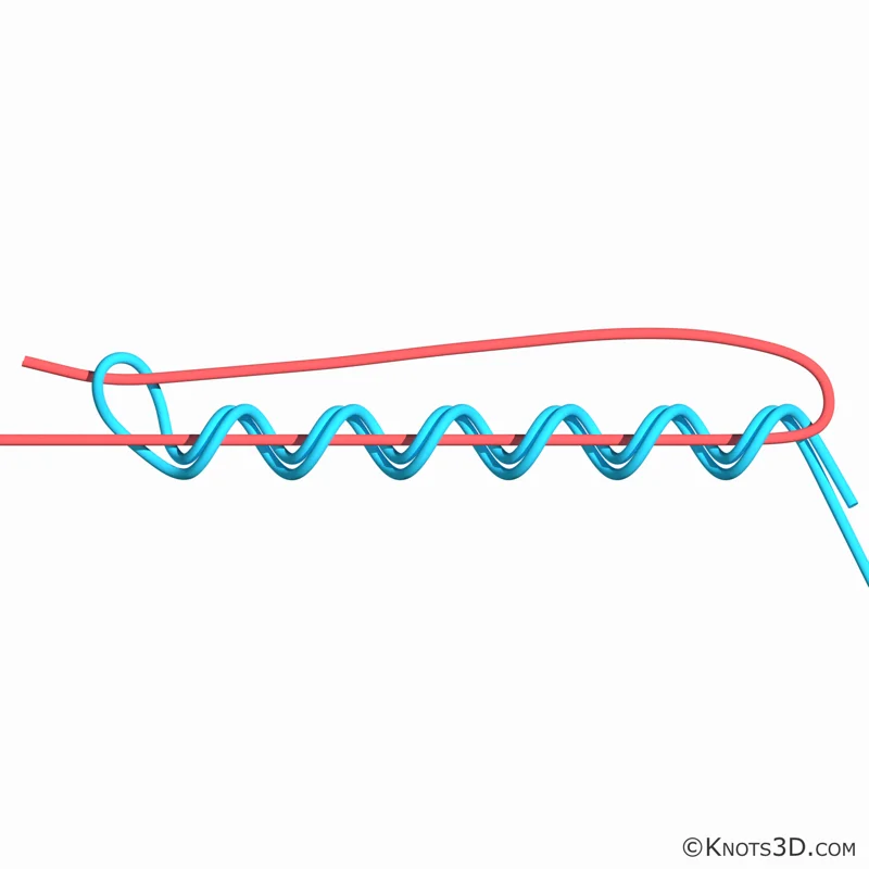 Анимация: Узел Юкатан
