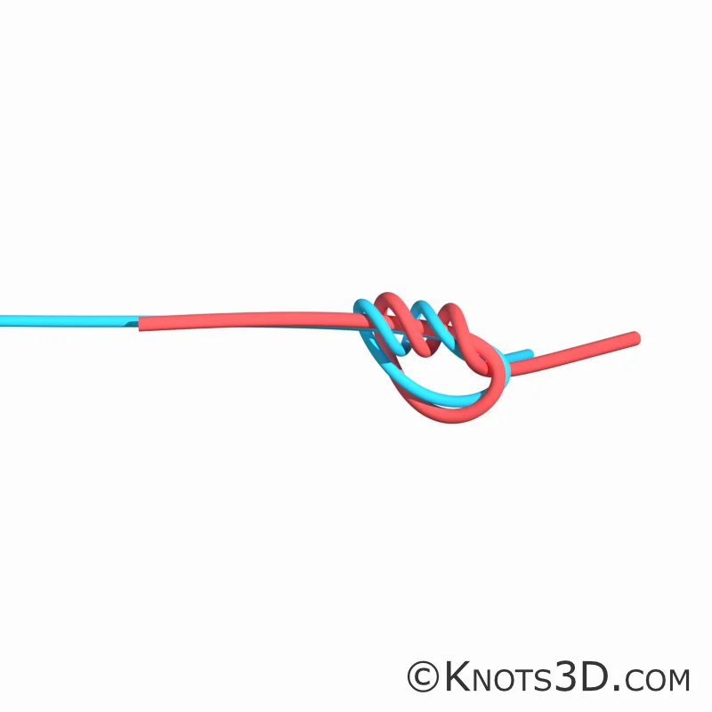 Анимация: Хирургический узел (рыболовный)