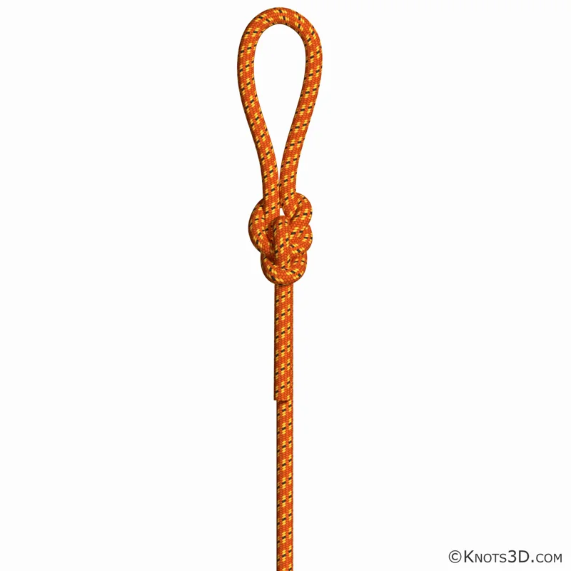 Animering: Hansonögla