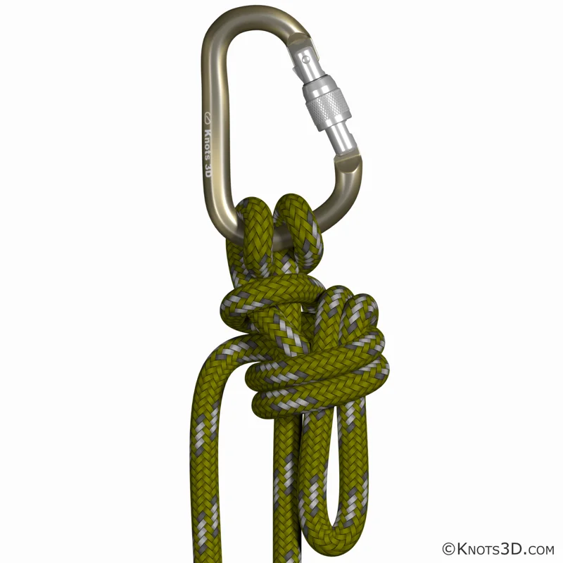 Animasyon: Munter Katır Bağı